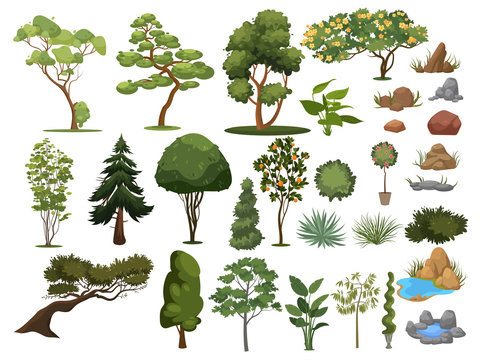 Set Of Trees And Shrubs. Collection Of Landscape Design Elements. Vector Illustration Of Plants. Coniferous And Deciduous Trees For Parks.