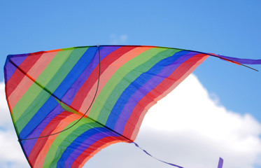 LGBT Pride Flag at the Parade