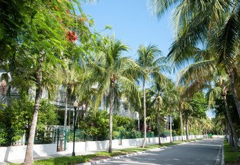 Key West Town Tropical Street