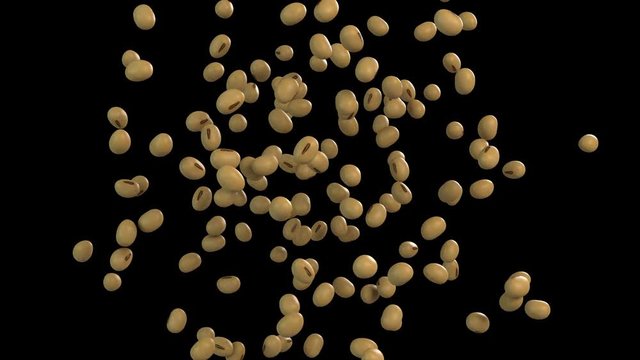 3D animation of a soybean flow with alpha layer