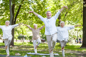 Cheerful senior people practicing qigong in the park