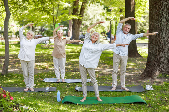 Group Of Joyful Old People Doing Qigong Exercise In The Park