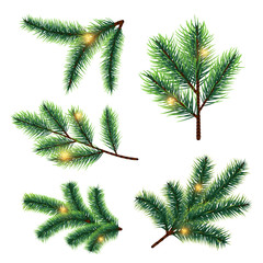 Obraz premium Fir tree branches with lights vector isolated on white background. Branch tree to christmas, light fir greeting and festive illustration