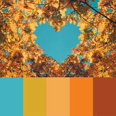 Trend fall 2020 Color palette with autumn leaves and sky. Collage with natural autumn colors swatch.