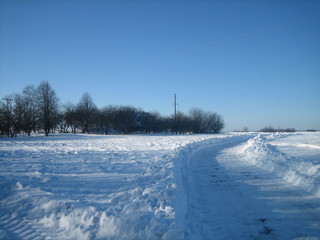 Naklejka premium Winter road on a frosty day. The sky is clear and blue. Snow-covered fields, trees and shrubs were covered with frost. The ruts of the road cut through the snowy surface. The sun shines brightly.