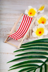 Still life with plumeria,beach chair and tropical leaves