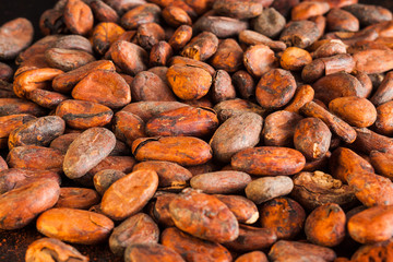 The cocoa beans close up on the table