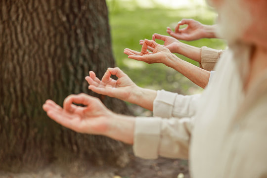 Group of senior people doing gyan mudra symbol