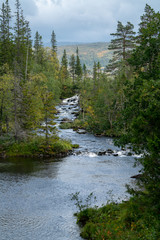 Fototapeta na wymiar Idyllischer Fluss im Wald in Norwegen