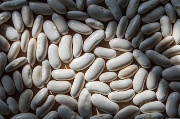 closeup of white haricot beans