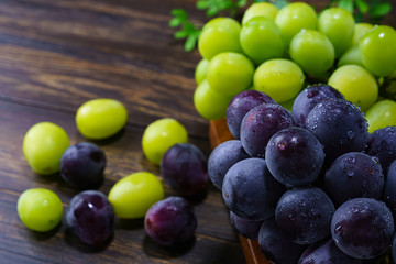 果物 ぶどう 巨峰とマスカット