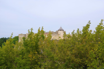 Fototapeta na wymiar Fortresse d'Ivangorod entre les branchages