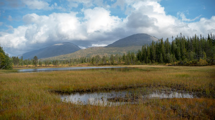 Herbst farbende Berglandschaft mit See und Wald in Norwegen 