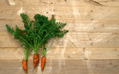 Three orange sweet carrots with green tails lie on pine boards