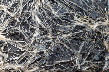 The texture of the intertwined roots of the plant in a briquette of soil, close-up.
