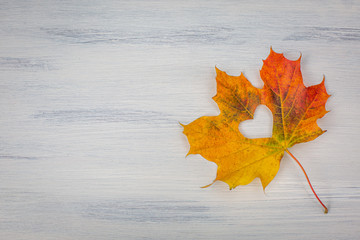 Fall in love photo metaphor. Maple leaf with heart shape on the wooden background