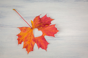 Fall in love photo metaphor. Maple leaf with heart shape on the wooden background