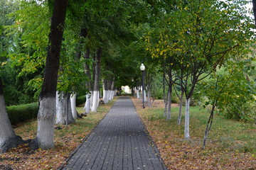 Path in the park 5