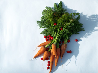 Shadow of carrots on a white background and red hawthorn