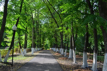 Path in the park 2