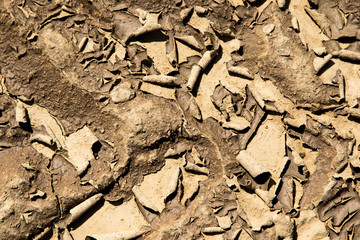 Dry cracked earth, abstract natural background