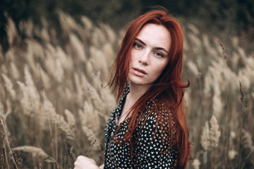 Close up portrait of young ginger sensual pretty caucasian lovely girl with freckled face in autumn field with long hair. Beauty, sexuality, red headed girl, natural beauty, no make up concept