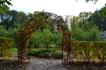 Arch in the autumn park