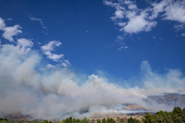 Mountain Wildfire