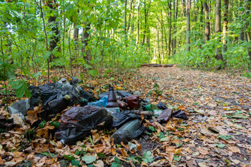 garbage in the forest, consisting of plastic bottles and plastic bags