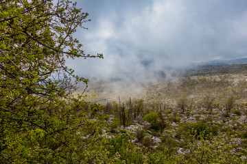 Morning fog in mountains. The Parc Naturel R&eacute;gional (PNR) des Pr&eacute;alpes d&rsquo;Azur.