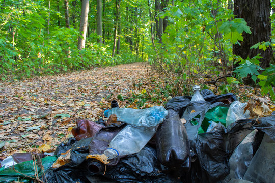 garbage in the forest, consisting of plastic bottles and plastic bags