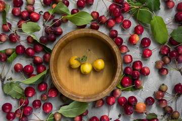  fruits are scattered on a gray concrete background flat lay