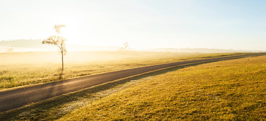 A tranquil road across the grassland at sunrise.