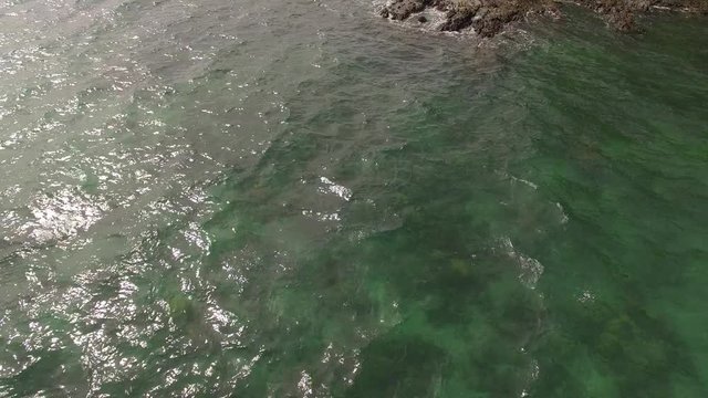Searching a prehistoric rocky coastline with a drone