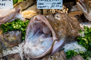 A monkfish with an open mouth for sale on a market stall