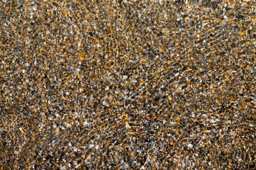 Sea shore with shells, covered with choppy water.  Sea shell