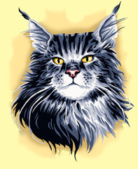 Portrait of an Maine Coon cat in pop art style