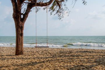 Swing hanging on tree at beachfront for visitors to play and sit on the beach