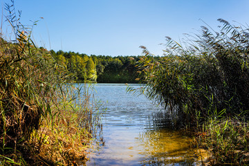 Brandenburg Barnim stiller kleine Badestelle Sommer Brandenburger Idylle Urlaub Berliner Umland...
