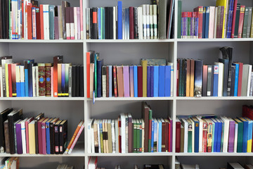 Many books on shelves in modern library