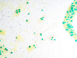 Colorful slime in white table. Kids gunk toy isolated over white background
