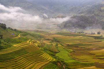Green terraces rice field at Mu Cang Chai