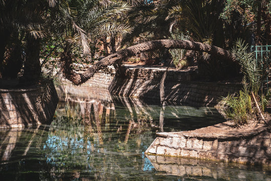 The blue water source of Meski, Morocco