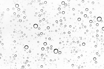 Fototapeta premium Rain drops on window glasses surface Natural Pattern of raindrops. Natural pattern of raindrops on white background for your design.