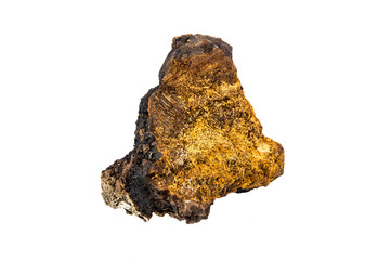 Over 20 years old big wild natural organic chunk of chaga mushroom, Inonotus obliquus isolated on white background. Gathered from birch tree trunk in pure fores in autumn. Herbal medicine concept.