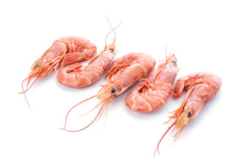 Tasty shrimps on white background
