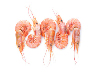Tasty shrimps on white background