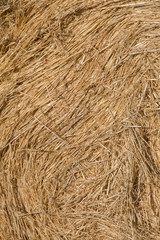 Closeup of Hay Barrel
