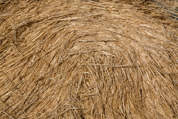 Closeup of Hay Barrel