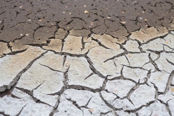Cracked crust of dried silt. Shoal of fresh water due to climate warming